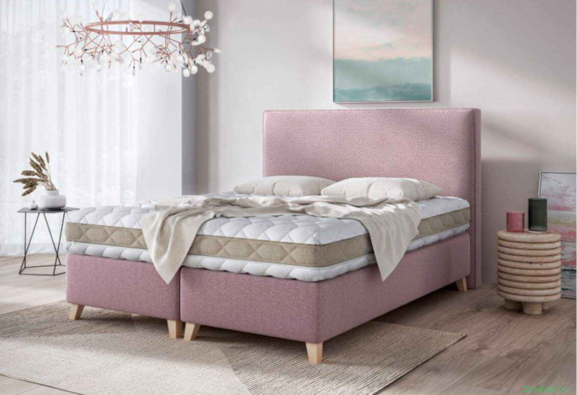 Obrázek 3 - Postel Dino 160x200 Castel 61 Davis E10 Buk s roštem, úložným prostorem