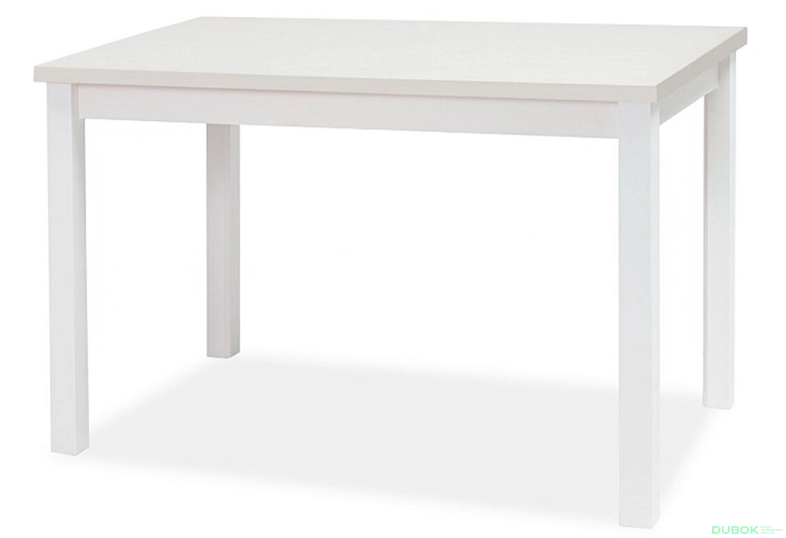 Stůl Adam 100x60 bílý mat
