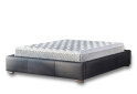 Obrázek 1 - Postel Polibox 160x200 Terra 99 Davis G4 Ořech