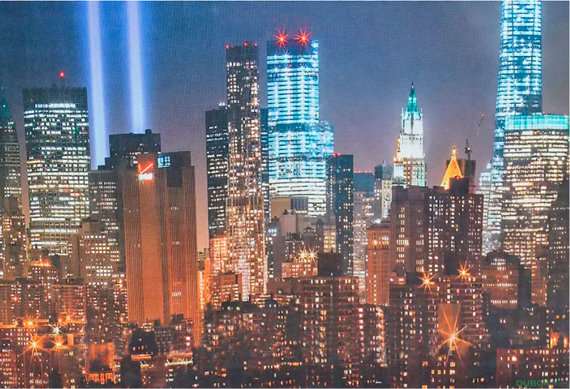 Obrázek 8 - Pohovka Američan 2DL Rosto76, New York