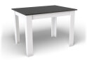 Obrázek 1 - Stůl NP 120x80 Černý + Bílý